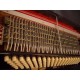 Acordeon (sanfona) Todeschini Super 6 Harmoniun - 120 baixos