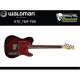 Guitarra Waldman Telecaster GTE_750F TBK