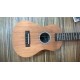 Ukulele Concerto Rozini RU02 em Mogno