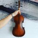 Violino Vogga VON144N 4/4 
