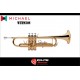 Trompete Michael WTRM30N / Linha Essence