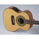 Cavavo (cavaquinho) Strinberg CS-25E NS Elétrico