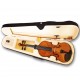 Violino Spring VS-34 / 3/4 