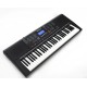 Teclado Arranjador Concert C300 / 5 oitavas / 61 teclas / Entrada USB (toca MP3)