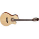 Violão Hofma By Eagle HMN288 Náilon / Cordas D'Addario / Elétrico com afinador