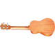 UKULELE CONCERTO SU23M STNT SHELBY      