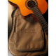 Violão MICHAEL Renascence VMR250CE (Clássico) Nylon - Trasto de Inox Arredondos - Equalizador (Pizeo e Microfone)