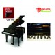 Piano de cauda Fritz Bobbert CS-150 Preto